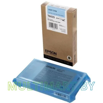 Картридж Epson C13T603500 картинка 2
